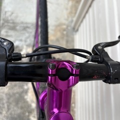 SE Bikes Lageの画像