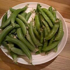 野菜　エンドウ2種(300㌘超え)