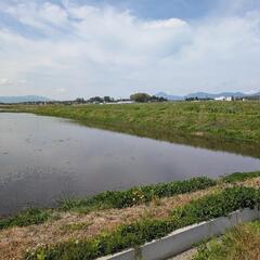 諏訪郡　田んぼの草刈り
