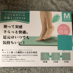 珪藻土バスマット　Mサイズ