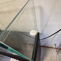 ADA 60水槽
の画像