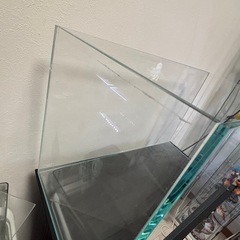 ADA 60水槽
の画像