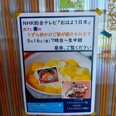 NHK総合テレビでカフェを紹介