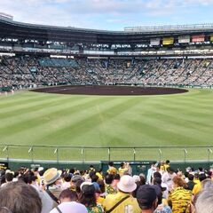 ソフトボール 練習試合募集