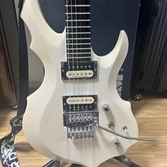 エドワーズ フォレストGT 改