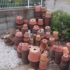 😺植木鉢　無料　好きなだけ