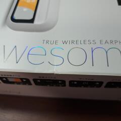 TRUE　WIRELESS  EARPHONE の画像