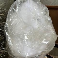 無料でクリスマスツリー差し上げますの画像