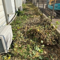 草刈りのお手伝いします！大阪市内〜近郊もご相談OKです♪  - 手伝いたい/助けたい