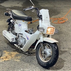 実働 カスタム ホンダ角目シャリー12V FC50