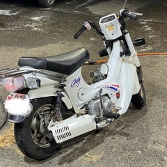実働 カスタム ホンダ角目シャリー12V FC50の画像