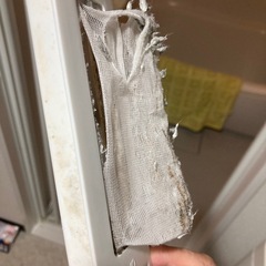 お渡し先決定洗濯機の画像