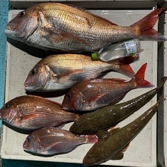 一緒に船釣りを楽しみたい🐟 - メンバー募集