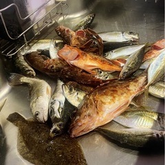 一緒に船釣りを楽しみたい🐟 − 千葉県