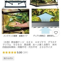 爬虫類 ケージ テラリウム60×45×60の画像
