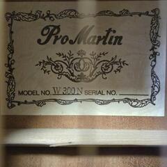 Pro Martin W300N 本体のみの画像