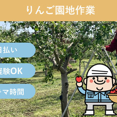 ＼日払い・1日OK！／初心者大歓迎！休憩たっぷり！りんごの花摘み...