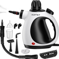スチームクリーナー 加圧スチーム洗浄機 掃除用品 油汚れ 高圧洗浄