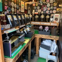 【五桜メダカ】 5月16日　横須賀めだか無人販売
