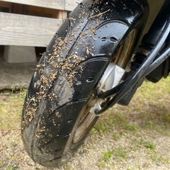☆ ★ トゥデイ ★ ☆の画像