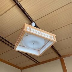 照明　天井