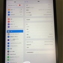 iPad Pro第2世代11インチ256ギガWi-Fiモデル　か...