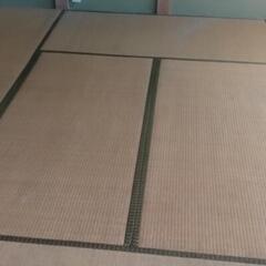 もらってください　畳　除草対策　カーペット　絨毯　大量