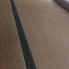 もらってください　畳　除草対策　カーペット　絨毯　大量の画像