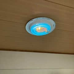 照明1 66wの画像