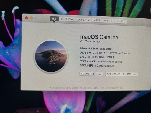 Apple iMac 21.5インチ Late2013　キーボードセット