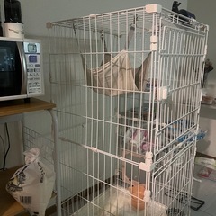 早い者勝ち　二段キャットケージ