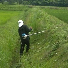 田んぼの草刈り