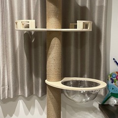 キャットタワーの画像