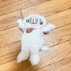 ホワイトタイガー ニフレル