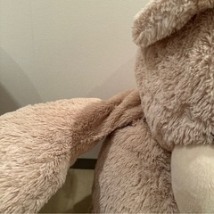 コストコ　クマぬいぐるみの画像