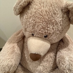 コストコ　クマぬいぐるみの画像