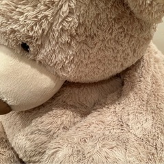 コストコ　クマぬいぐるみの画像