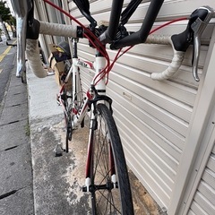 TREK（トレック）社製のロードバイクの画像
