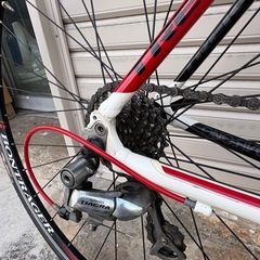 TREK（トレック）社製のロードバイクの画像