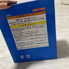Tokyo  Disney Resort  ミニーちゃんオブジェ　飾り　置き物　インテリアの画像