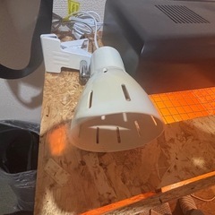 予定者決定済み爬虫類ケージセットの画像