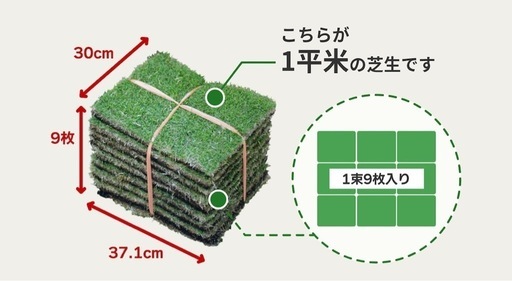 トヨタ　TM9 天然芝

