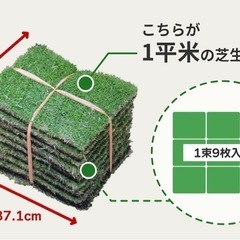 トヨタ　TM9 天然芝
の画像