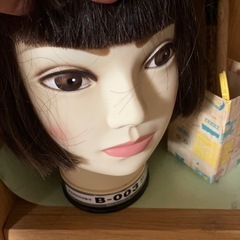 ウィッグ(マネキン)
