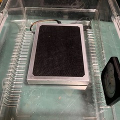 爬虫類ケース 初心者セットの画像