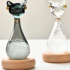 猫　ホワイト　スノーグラス