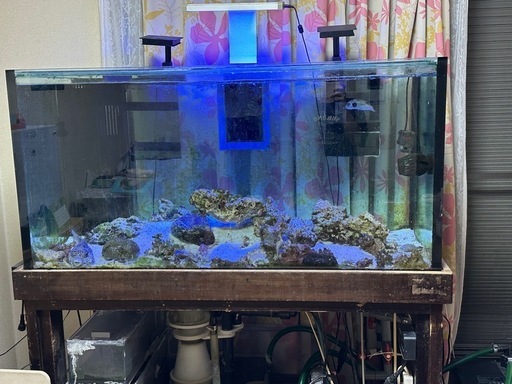 120センチオーバーフロー水槽