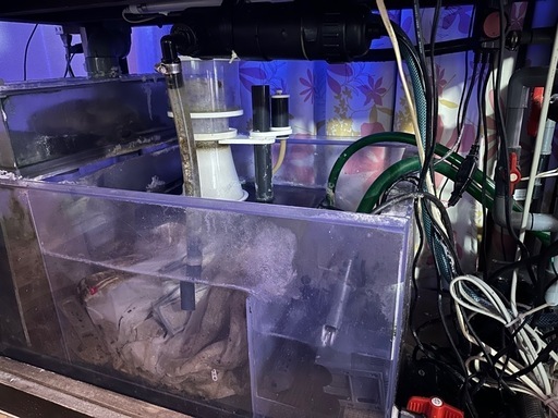 120センチオーバーフロー水槽
