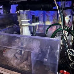 120センチオーバーフロー水槽の画像
