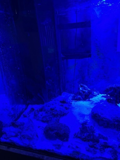 120センチオーバーフロー水槽